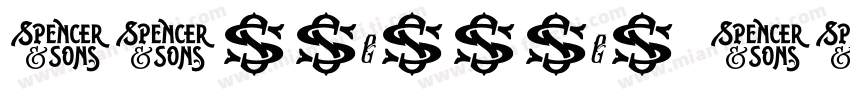 SJzhenghei ZC字体转换